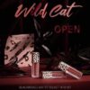 Son Black Rouge Air Fit Velvet Mini Kit Wild Cat - Bản Noel 2019