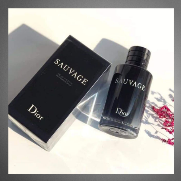 Nước Hoa Nam Dior Sauvage Eau De Toilette