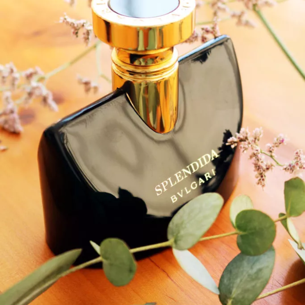 Nước Hoa Nữ Bvlgari Splendida Jasmin Noir EDP