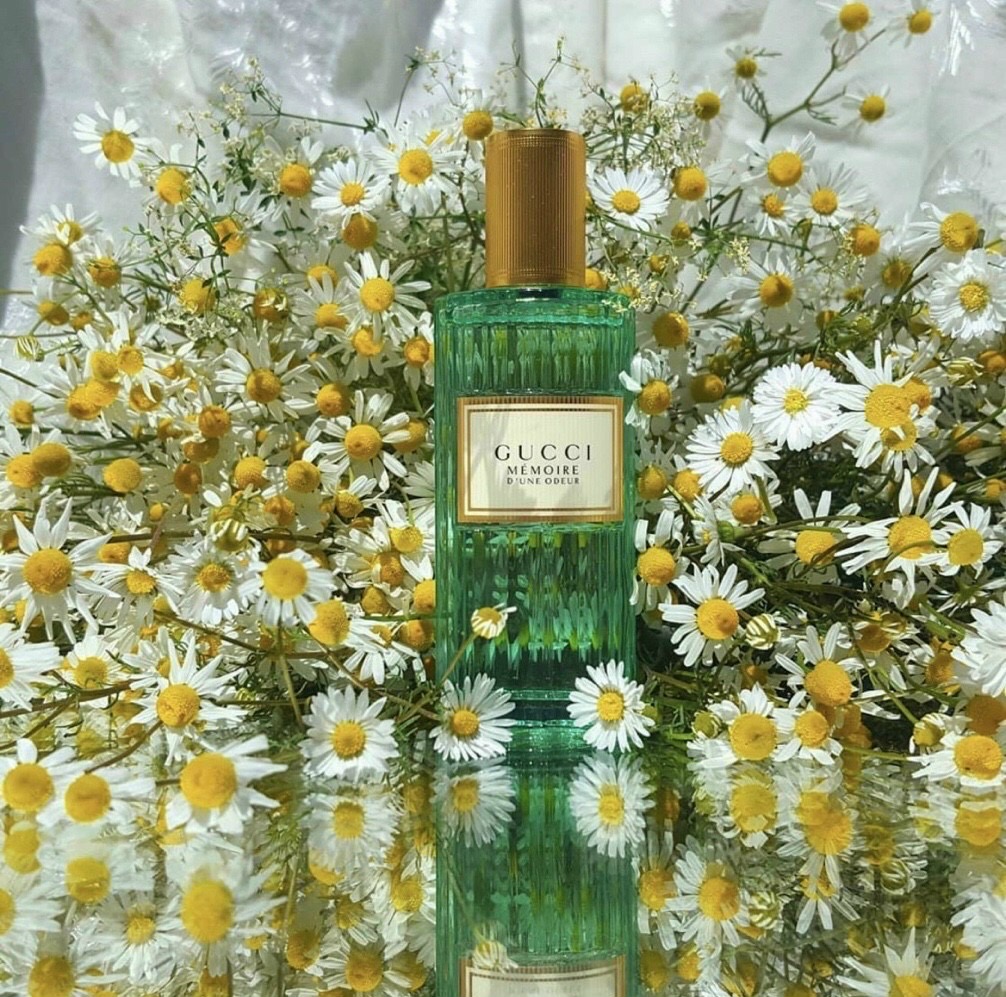 Nước Hoa Unisex Gucci Mémoire D’une Odeur Eau De Parfum - Image 6