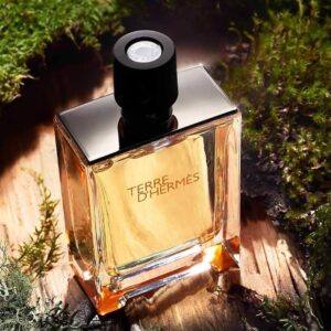 Nước Hoa Nam Hermes Terre D'hermes Pure Perfume EDP - Image 4