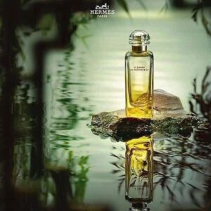 Nước Hoa Nữ Hermès Le Jardin De Monsieur Li EDT