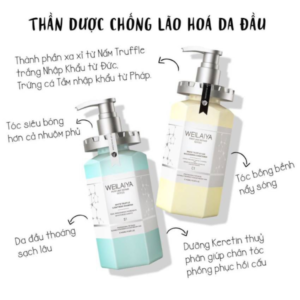 Combo Dầu Gội Xả Phục Hồi Đa Tầng Nấm Truffle Weilaiya 450ML - Image 3