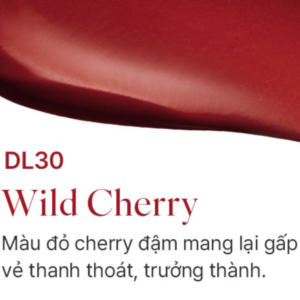 Son Kem Black Rouge Double Layer Over Velvet Ver 4 DL30 Wild Cherry